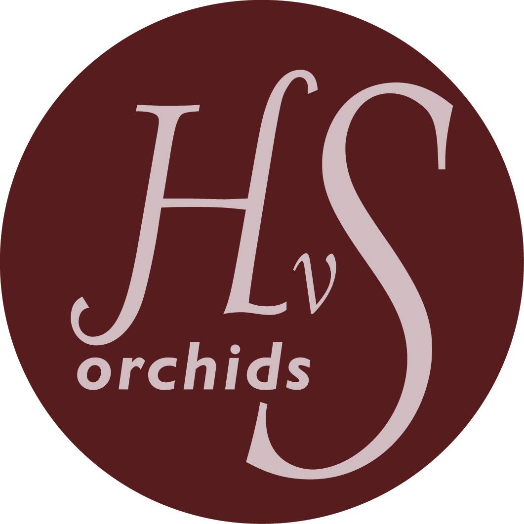 HVS Orchids
